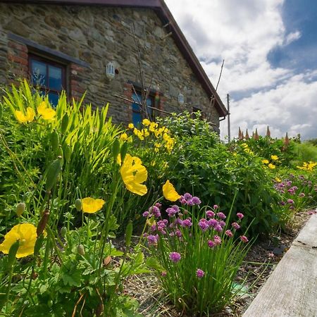 Tyn Rhos Country House Caernarfon Exterior photo